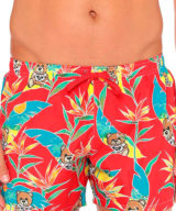 Bañador moschino teddy largo medio