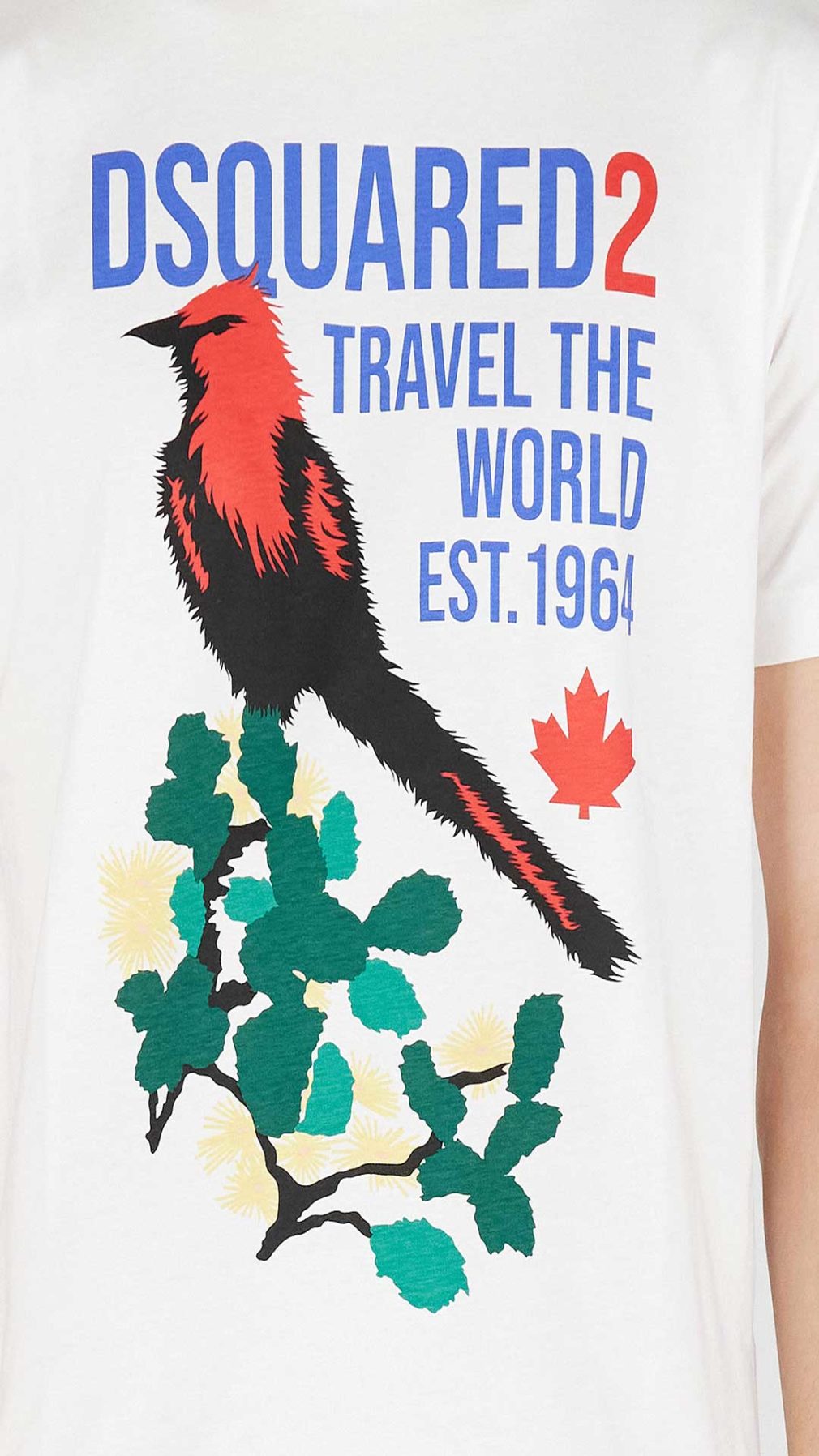 Camiseta Dsquared2 con estampado gráfico en la parte delantera