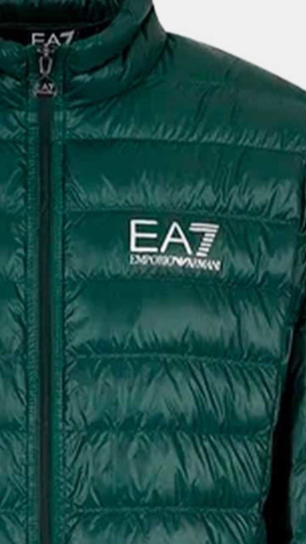 Chaqueta  EA7 Emporio Armani con logotipo