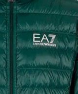 Chaqueta  EA7 Emporio Armani con logotipo
