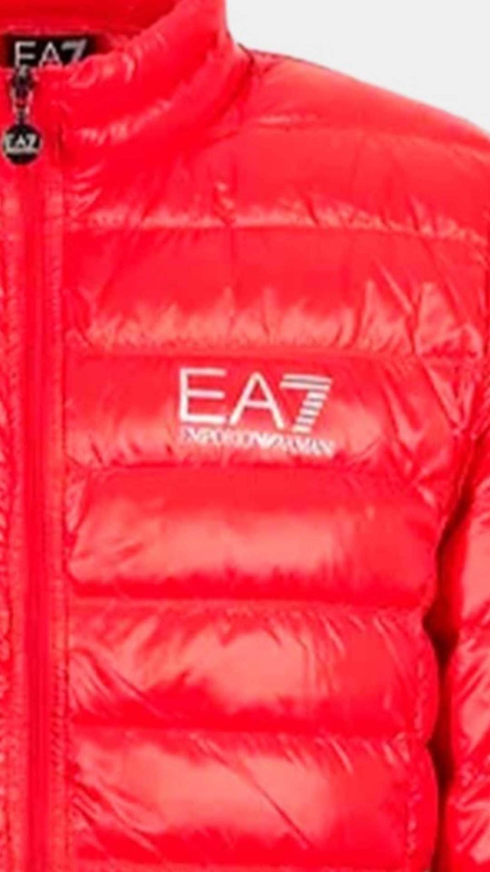 Chaqueta  EA7 Emporio Armani con logotipo