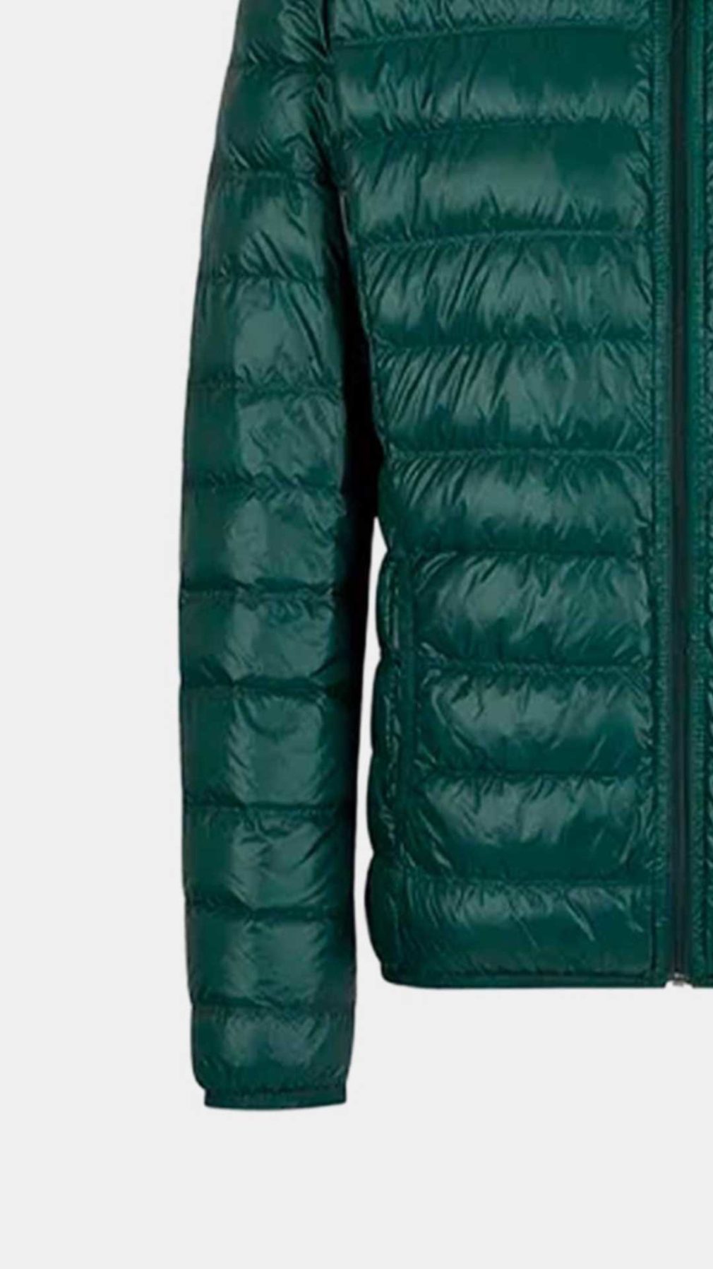 Chaqueta  EA7 Emporio Armani con logotipo