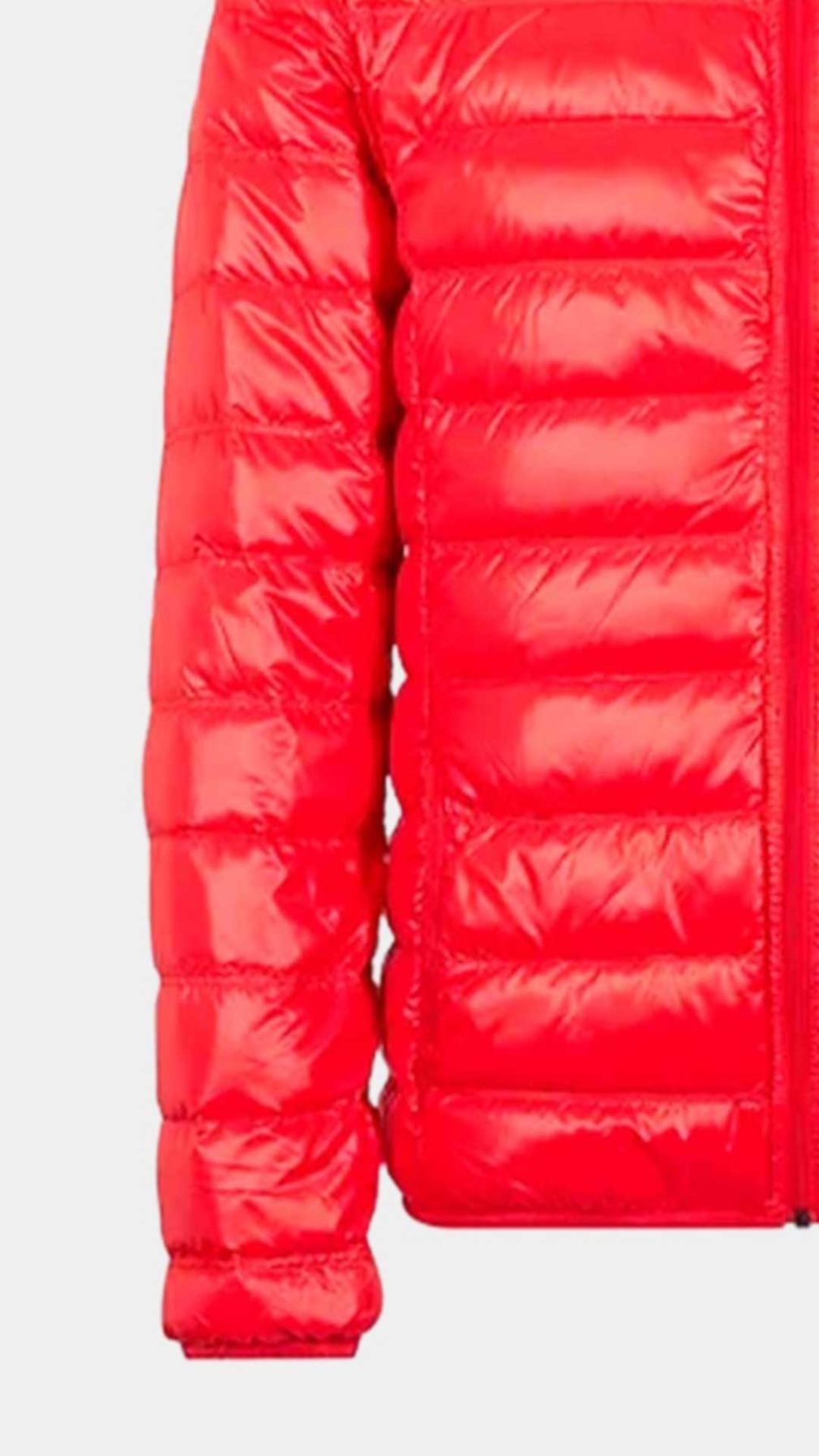 Chaqueta  EA7 Emporio Armani con logotipo