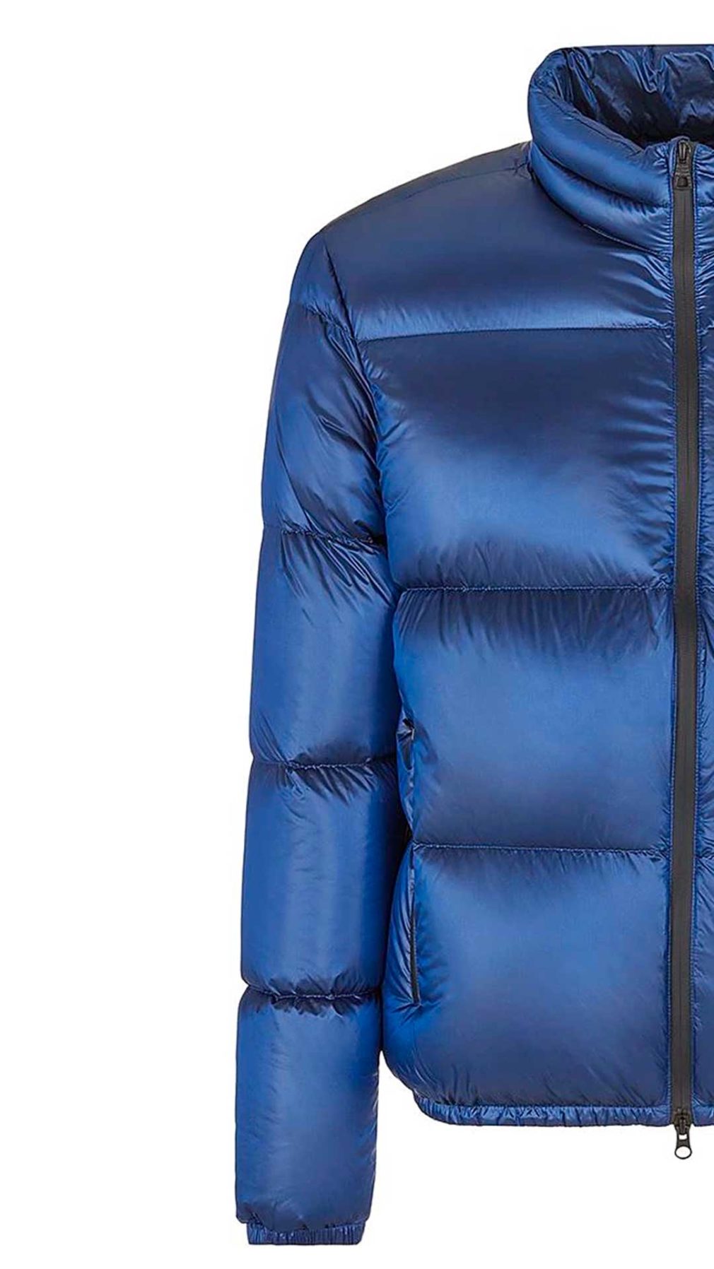Chaqueta acolchada EA7 Emporio Armani